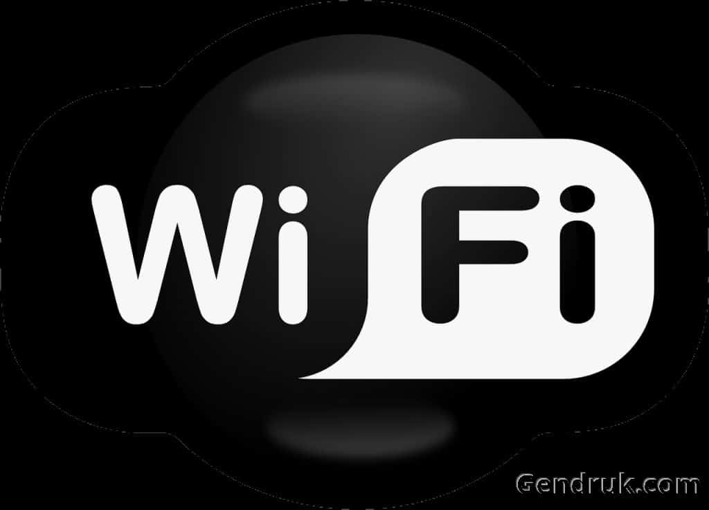 Password Wifi