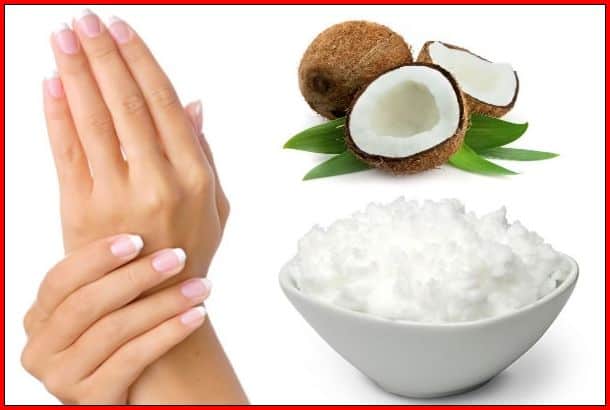 manfaat kelapa untuk perawatan kulit