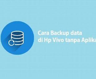 Backup Data Vivo