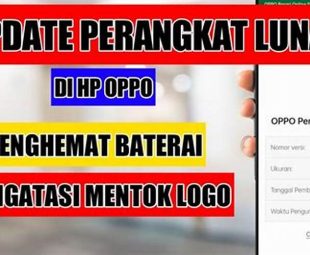 Update Perangkat Lunak Anda Secara Teratur