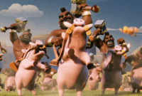 hog coc