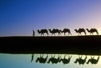 Kumpulan tweet ucapan menyambut ramadhan kurang dari / masuk 140 karakter.